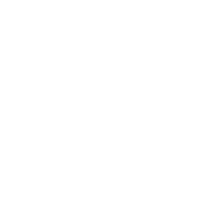 Chrome-white-icon2.png