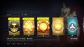 The only way the user can obtain content in Halo 5: Guardians is via 'REQ Packs'