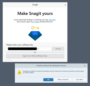 Snagitactivation2.png