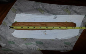 Subway's Footlong Lawsuit for plaintiff showcasing a Footlong being 10 inches.
