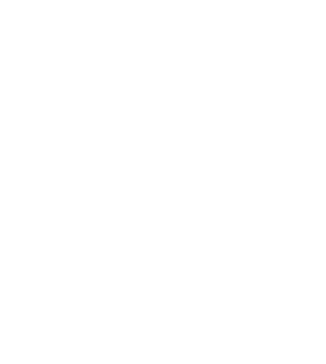 Zulip-white-icon.png